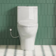 Eridanus Salerno Crisp White Dual Flush Elongated Chair height Soft Close 1-piece Toilet 12-in Rough-In WaterSense 1.6 GPF