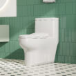 Eridanus Salerno Crisp White Dual Flush Elongated Chair height Soft Close 1-piece Toilet 12-in Rough-In WaterSense 1.6 GPF
