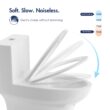 Eridanus Salerno Crisp White Dual Flush Elongated Chair height Soft Close 1-piece Toilet 12-in Rough-In WaterSense 1.6 GPF