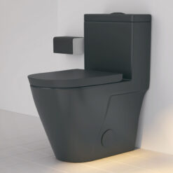Eridanus Turner Matte Black Dual Flush Elongated Chair height Soft Close 1-piece Toilet 12-in Rough-In WaterSense 1.6 GPF