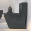 Eridanus Turner Matte Black Dual Flush Elongated Chair height Soft Close 1-piece Toilet 12-in Rough-In WaterSense 1.6 GPF