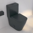 Eridanus Turner Matte Black Dual Flush Elongated Chair height Soft Close 1-piece Toilet 12-in Rough-In WaterSense 1.6 GPF