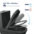 Eridanus Turner Matte Black Dual Flush Elongated Chair height Soft Close 1-piece Toilet 12-in Rough-In WaterSense 1.6 GPF