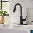 Moen Edwyn Matte Black Single Handle Deck-mount Pull-down Kitchen Faucet with Sprayer ( Deck Plate Included ) (Soap Dispenser Included)