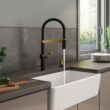 KOHLER Koi Pre-Rinse Spring Matte Black w/Moderne Brass Single Handle Deck-mount Pull-down Kitchen Faucet with Sprayer ( Deck Plate Included ) (Soap Dispenser Included)