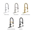 KOHLER Koi Pre-Rinse Spring Matte Black w/Moderne Brass Single Handle Deck-mount Pull-down Kitchen Faucet with Sprayer ( Deck Plate Included ) (Soap Dispenser Included)