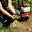 Earthquake MC33 33-cc 2-cycle 10-in Forward-rotating Gas Cultivator