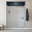 Sterling Deluxe Silver 54-in to 60-in W x 70-in H Framed Bypass Sliding Shower door 1/8-in Thick Rain Glass