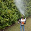 New Mister Duster Mosquito Sprayer Mosquito Fogger Backpack Sprayer Cold Fogger