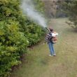 New Mister Duster Mosquito Sprayer Mosquito Fogger Backpack Sprayer Cold Fogger