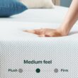 ZINUS 10 Inch Green Tea Cooling Memory Foam Mattress, Queen, Fiberglass Free, Medium Firmness, Cooling Gel Foam, Certified Safe Foams & Fabric, Mattress in A Box