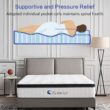 12 Inch Queen Size Hybrid Mattress - Medium Firm, Memory Foam & Pocket Springs, Motion Isolation, Edge Support, Pressure Relief, Ships Compressed