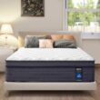 Mattress Memory Foam Hybrid Mattress with Motion Isolation and Pressure Relief, Strong Edge Support, Pocket Spring Queen Size Mattres in a Box (10 Inch, Queen)