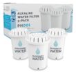 ‎Invigorated Water PH001 - White Alkaline Water Filter, Replacement Filters for All Invigorated Water Pitcher – 96 Gallons/Filter (3-Pack)