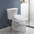 ZMJH Bidet Toilet Seat, Electric Smart Heated Seat with Slow Closes, Vortex Wash, White, A102S-W (Elongated)