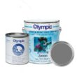 Olympic Pool Paint - Zeron - Gray Oasis - 1 Gallon - two-part epoxy swimming pool paint - one-coat for plaster