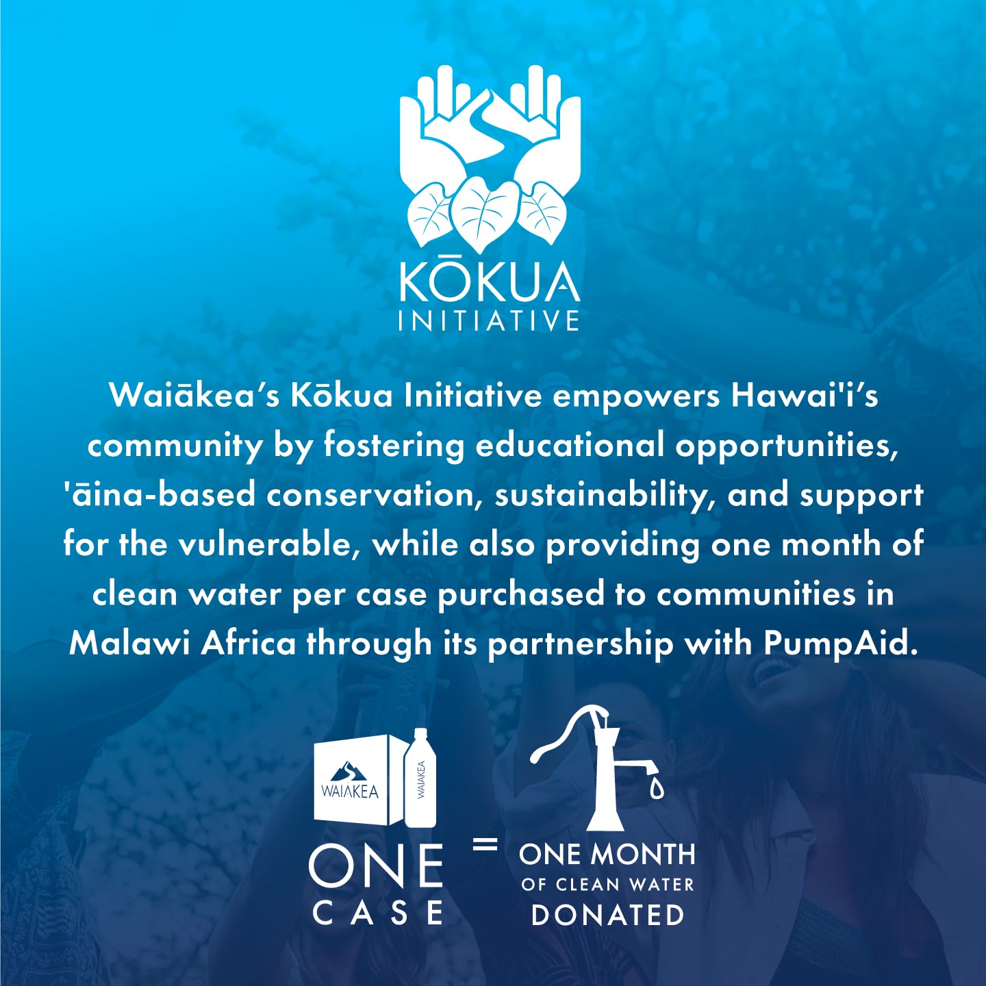 Waiakea Hawaiian Volcanic Water - Naturally Alkaline Water - pH Range 7.6 to 8.2 - All Natural Minerals & Electrolytes - 23.7 Fl Oz, 700 mL Waiakea Hawaiian Volcanic Water - Naturally Alkaline Water - pH Range 7.6 to 8.2 - All Natural Minerals & Electrolytes - 23.7 Fl Oz, 700 mL - Image 5