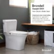 Brondell Bidet Toilet Seat Non-Electric Swash Ecoseat, Fits Elongated Toilets, White - Dual Nozzle System - Bidet with Easy Installation