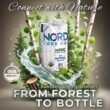 Nordic Tree Water 100% USDA Organic Birch Tree Sap – Electrolytes, Minerals, Prebiotics & Vitamins, Sustainable Product of Finland Nordic Tree Water 100% USDA Organic Birch Tree Sap – Electrolytes, Minerals, Prebiotics & Vitamins, Sustainable Product of Finland