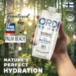 Nordic Tree Water 100% USDA Organic Birch Tree Sap – Electrolytes, Minerals, Prebiotics & Vitamins, Sustainable Product of Finland Nordic Tree Water 100% USDA Organic Birch Tree Sap – Electrolytes, Minerals, Prebiotics & Vitamins, Sustainable Product of Finland
