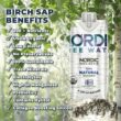 Nordic Tree Water 100% USDA Organic Birch Tree Sap – Electrolytes, Minerals, Prebiotics & Vitamins, Sustainable Product of Finland Nordic Tree Water 100% USDA Organic Birch Tree Sap – Electrolytes, Minerals, Prebiotics & Vitamins, Sustainable Product of Finland