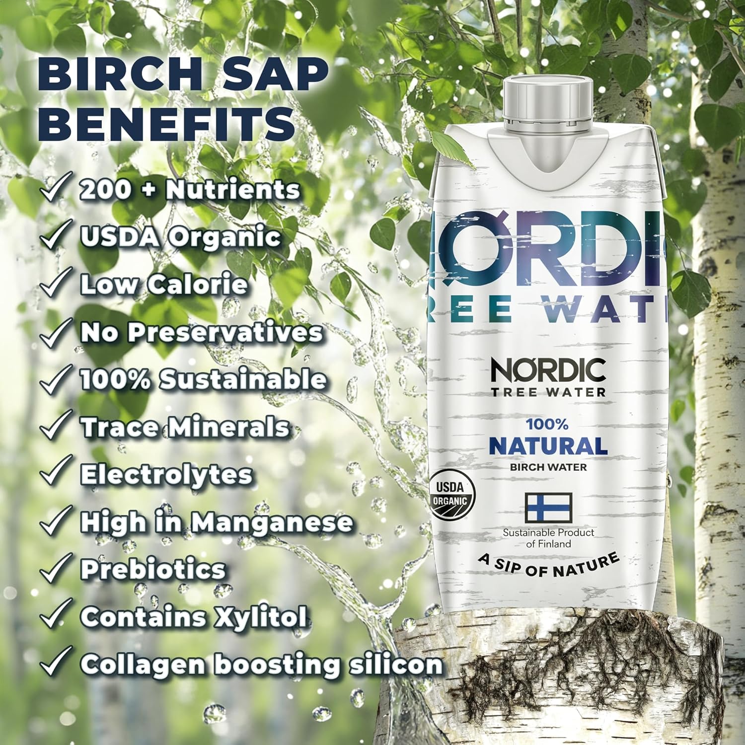 Nordic Tree Water 100% USDA Organic Birch Tree Sap – Electrolytes, Minerals, Prebiotics & Vitamins, Sustainable Product of Finland Nordic Tree Water 100% USDA Organic Birch Tree Sap – Electrolytes, Minerals, Prebiotics & Vitamins, Sustainable Product of Finland - Image 7