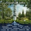 Nordic Tree Water 100% USDA Organic Birch Tree Sap – Electrolytes, Minerals, Prebiotics & Vitamins, Sustainable Product of Finland Nordic Tree Water 100% USDA Organic Birch Tree Sap – Electrolytes, Minerals, Prebiotics & Vitamins, Sustainable Product of Finland