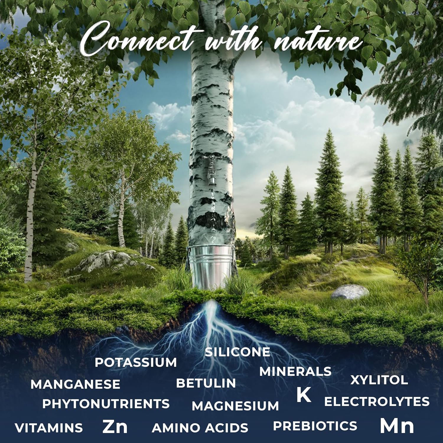 Nordic Tree Water 100% USDA Organic Birch Tree Sap – Electrolytes, Minerals, Prebiotics & Vitamins, Sustainable Product of Finland Nordic Tree Water 100% USDA Organic Birch Tree Sap – Electrolytes, Minerals, Prebiotics & Vitamins, Sustainable Product of Finland - Image 4