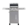 Monument Grills Mesa Series 2-Burner Free Standing Stailless Liquid Propane 24000 BTU Gas Grill with Cabinet, Gray Monument Grills Mesa Series 2-Burner Free Standing Stailless Liquid Propane 24000 BTU Gas Grill with Cabinet, Gray