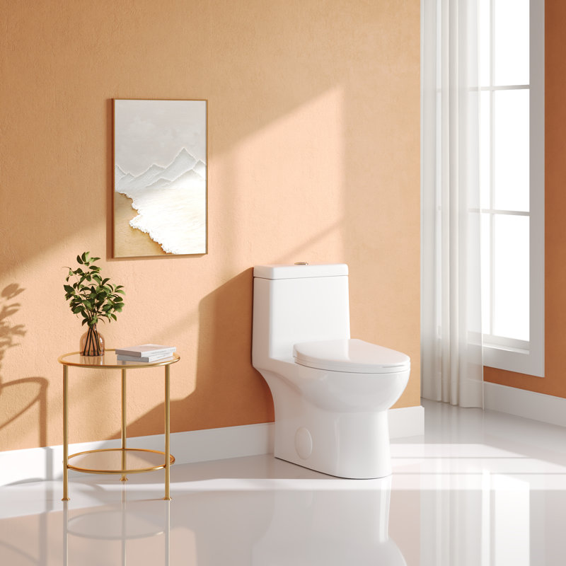 Ally Dual-Flush Elongated One-Piece Toilet with Glazed Surface Modern Toilet with Comfort Seat Height (Seat Included)