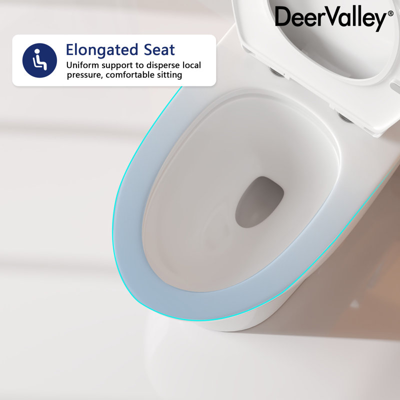 Ally Dual-Flush Elongated One-Piece Toilet with Glazed Surface Modern Toilet with Comfort Seat Height (Seat Included)