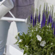 Step 2 Atherton Self-Watering Planter Box, White, 2