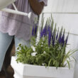 Step 2 Atherton Self-Watering Planter Box, White, 2