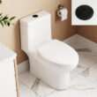 Ally Dual-Flush Elongated One-Piece Toilet with Glazed Surface Modern Toilet with Comfort Seat Height (Seat Included)