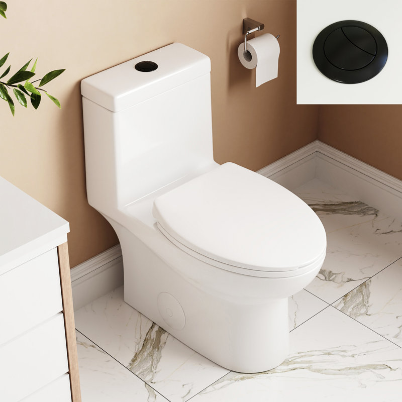 Ally Dual-Flush Elongated One-Piece Toilet with Glazed Surface Modern Toilet with Comfort Seat Height (Seat Included)