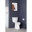 Cimarron 1.6 GPF Elongated Two-Piece Toilet (Seat Not Included)