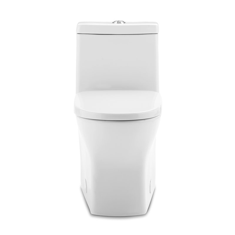 Sublime II One-Piece Round Toilet Dual-Flush 1.1/1.6 gpf