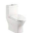 Sublime II One-Piece Round Toilet Dual-Flush 1.1/1.6 gpf