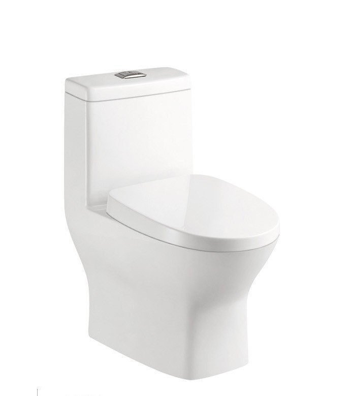Sublime II One-Piece Round Toilet Dual-Flush 1.1/1.6 gpf