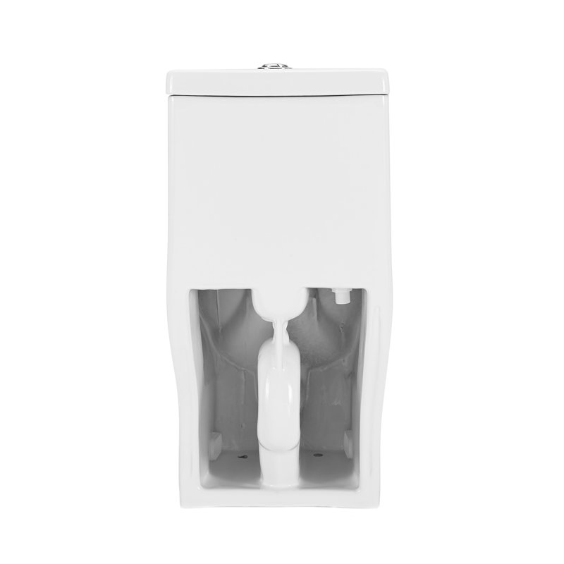 Sublime II One-Piece Round Toilet Dual-Flush 1.1/1.6 gpf