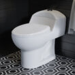 White Château One-Piece Elongated Dual-Flush Toilet 1.1/1.6 gpf (Part number: SM-1T803)