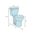 Château One-Piece Elongated Dual-Flush Toilet 1.1/1.6 gpf