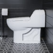 Château One-Piece Elongated Dual-Flush Toilet 1.1/1.6 gpf