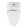 Château One-Piece Elongated Dual-Flush Toilet 1.1/1.6 gpf