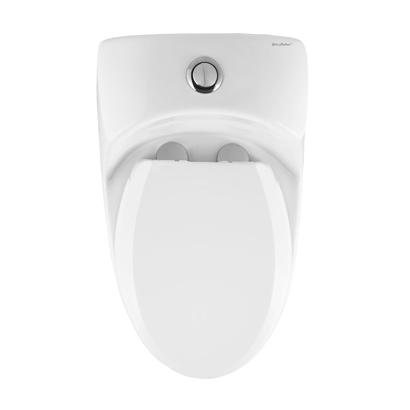 Château One-Piece Elongated Dual-Flush Toilet 1.1/1.6 gpf