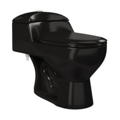 Black Château One-Piece Elongated Dual-Flush Toilet 1.1/1.6 gpf (Part number: SM-1T803GB)