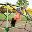 Lifetime 11'' W Climbing Dome Lifetime 11'' W Climbing Dome