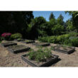 Raised Garden Bed