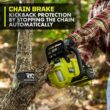 RYOBI 40V 120 MPH 550 CFM Cordless Battery Blower and Lawn and leaf bag with 4.0 Ah Battery and Charger RY40LB01K-AC04313