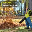 RYOBI 40V 120 MPH 550 CFM Cordless Battery Blower and Lawn and leaf bag with 4.0 Ah Battery and Charger RY40LB01K-AC04313